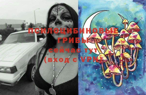 герыч Козельск