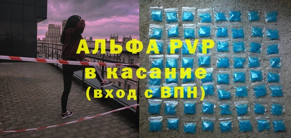 прущие грибы Козловка