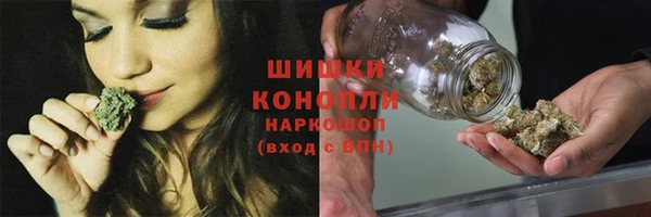 прущие грибы Козловка
