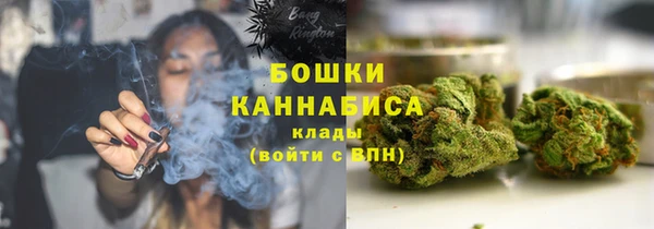 прущие грибы Козловка
