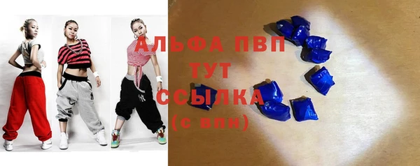 прущие грибы Козловка