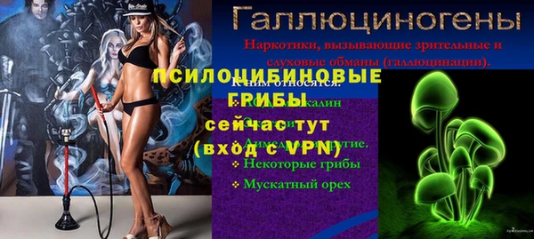 прущие грибы Козловка