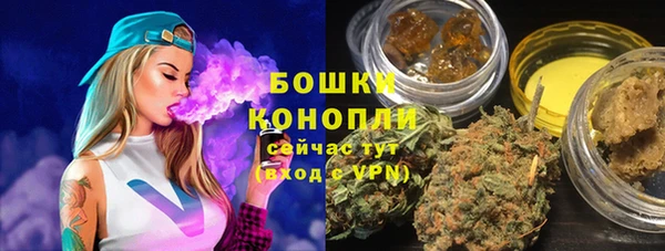 ПСИЛОЦИБИНОВЫЕ ГРИБЫ Коряжма